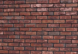 Кирпич ручной формовки Engels Bass Rock [HANDFORM] WFD65