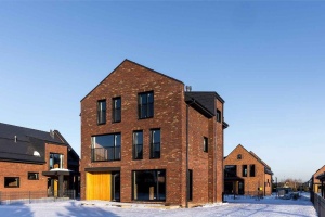 Кирпич ручной формовки Engels Kameleon [HANDFORM] WFD65