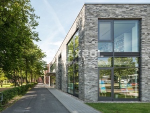 Кирпич ручной формовки Petersen D98 DNF