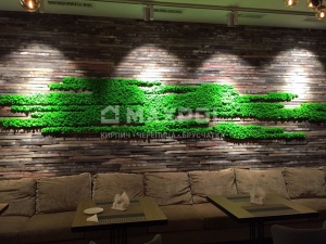 Кирпич клинкерный Богандинский Полтава ECO R-350 Кирпич клинкерный Богандинский Полтава ECO R-350